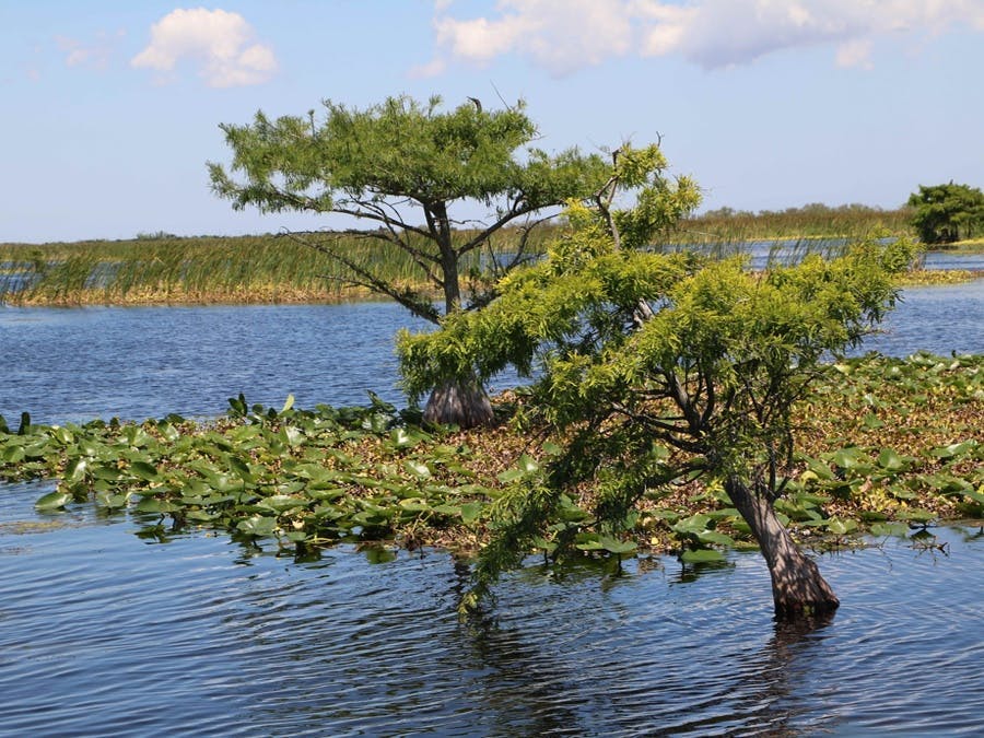 The beauty of the lands west of town